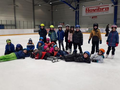 Společné bruslení