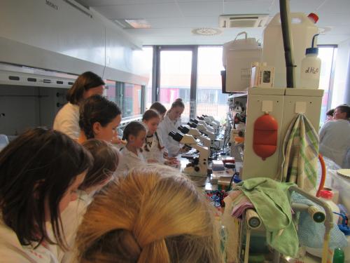 Exkurze na Masarykově univerzitě